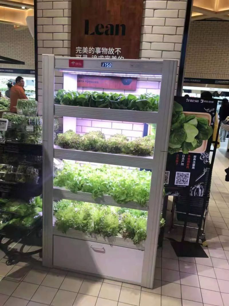 植物工厂摄影作品展示