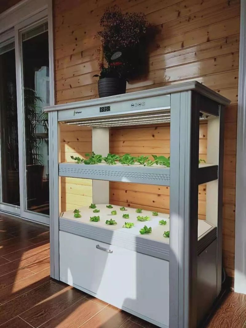 植物工厂摄影作品展示