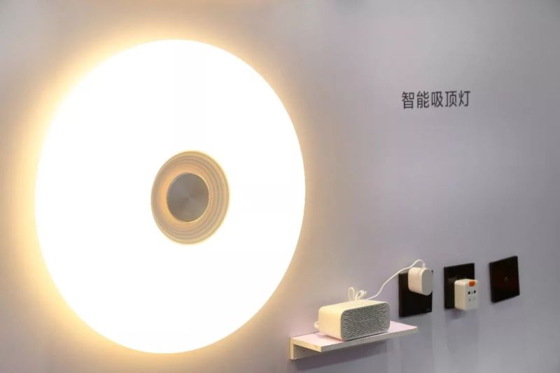 佛山照明如何实现“用智慧联接未来”？看这！