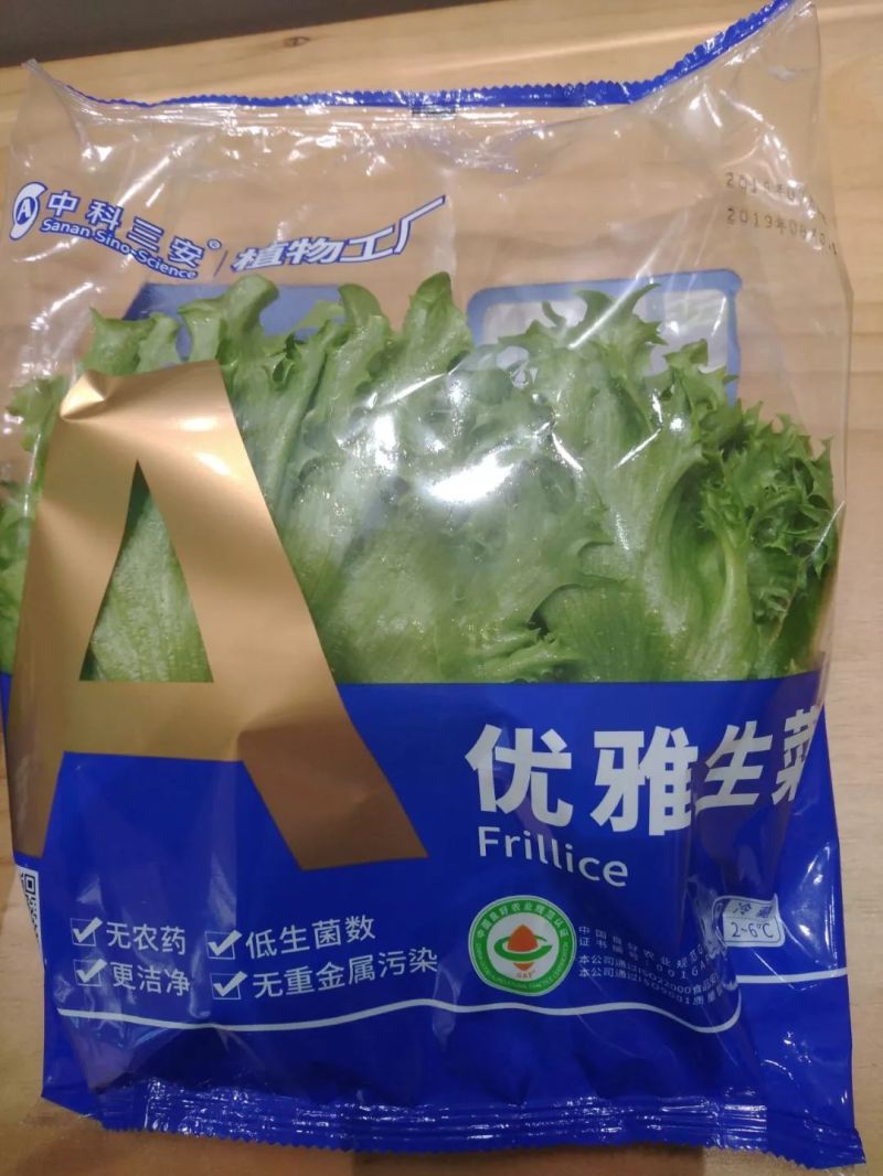 植物工厂摄影作品展示