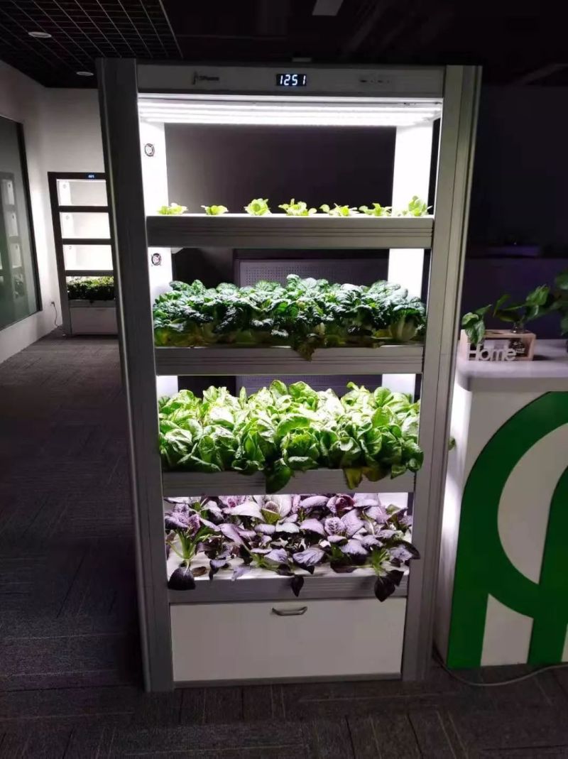 植物工厂摄影作品展示