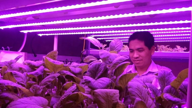 植物工厂摄影作品展示