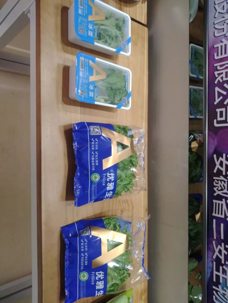 植物工厂摄影作品展示