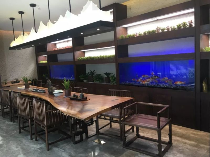 植物工厂摄影作品展示