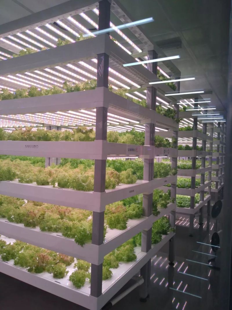 植物工厂摄影作品展示