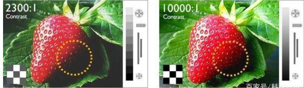 显示器行业面板基础知识：TN vs IPS vs VA