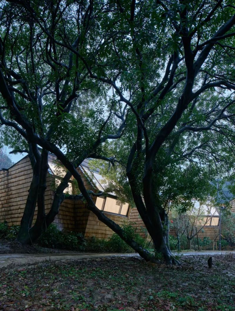 星立方 | 杭州开元森泊度假乐园