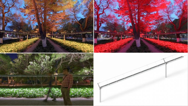 城市照明探讨：什么样的夜景好看？