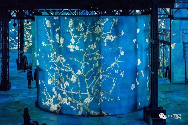 当梵高遇上日本浮世绘，一场惊爆眼球的光影艺术展！