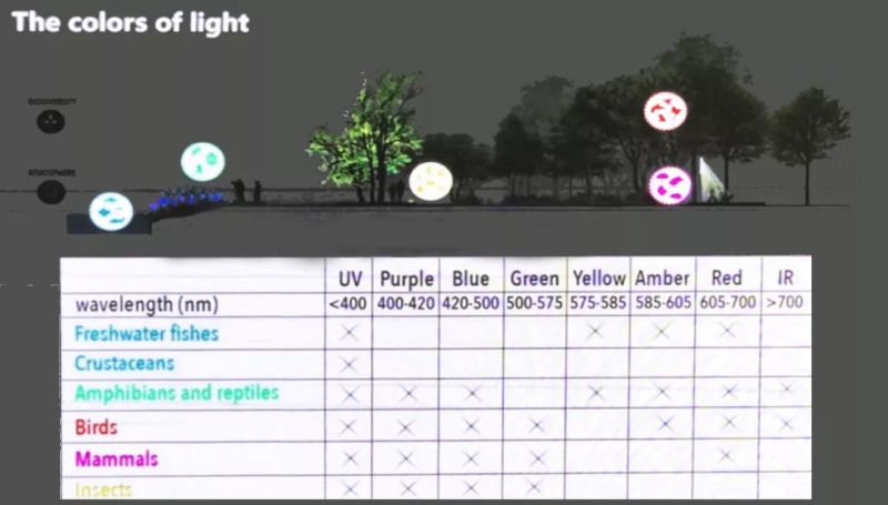 法国灯光设计大师的夜间照明世界
