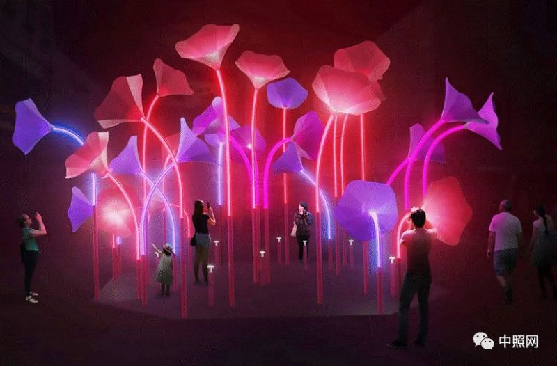 2019耶路撒冷灯光节开幕，感受圣城之光！