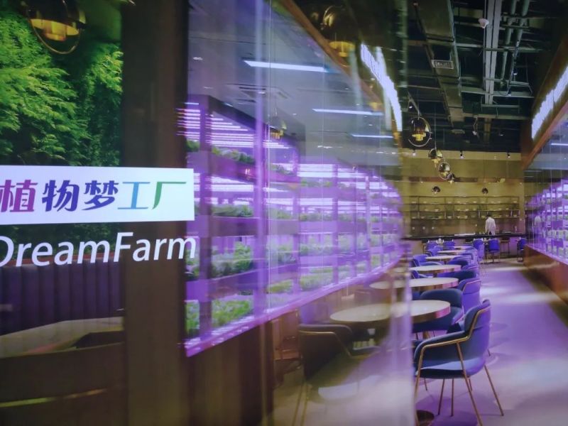 植物工厂摄影作品展示