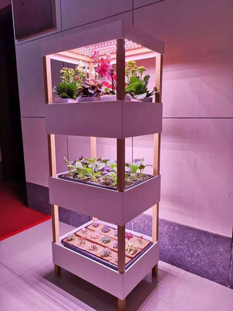 植物工厂摄影作品展示