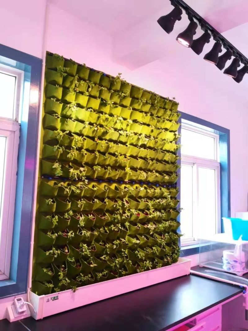 植物工厂摄影作品展示