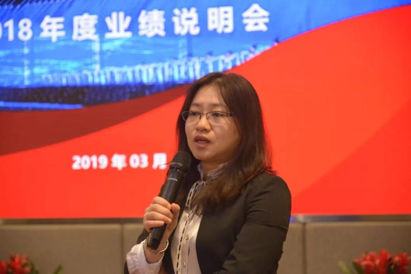 利亚德集团2018年度业绩说明会在北京顺利召开