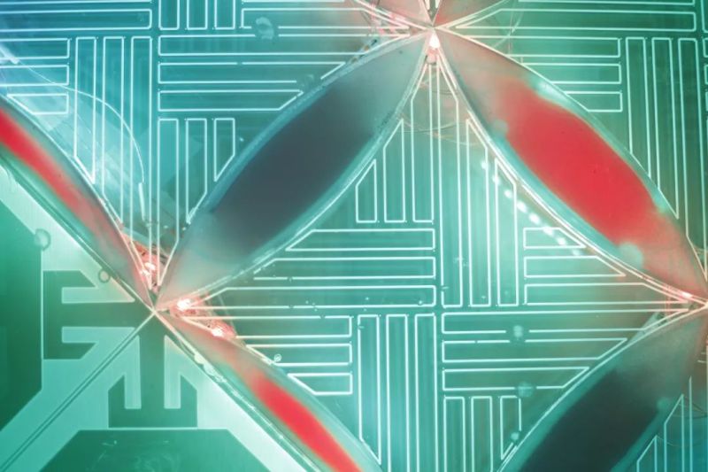 广美毕设作品展 | 这些照明灯具作品“亮”了！