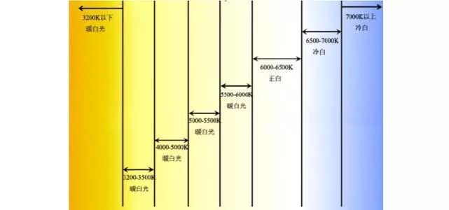 灯光是种毒，让我卡内余额不足