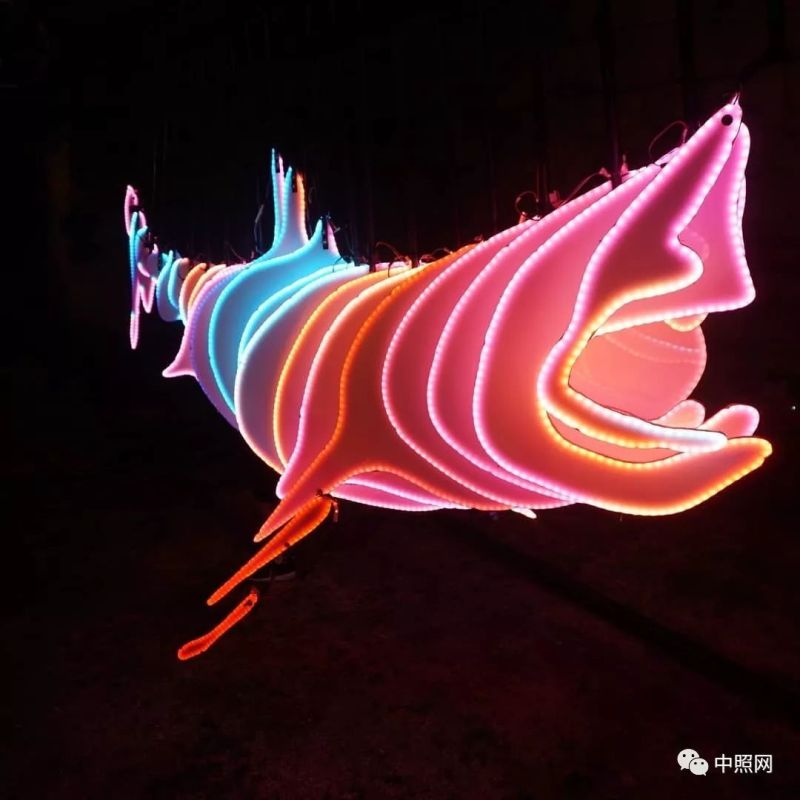 2019耶路撒冷灯光节开幕，感受圣城之光！