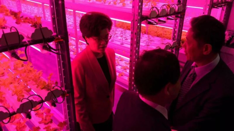 中国植物工厂技术成功进入罗马尼亚，首个中罗农业科技园布加勒斯特落成