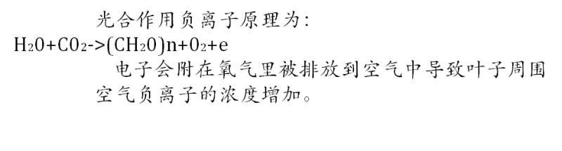 【光电热点大家谈】光合作用光反应产物与供光模式关系研究与探讨