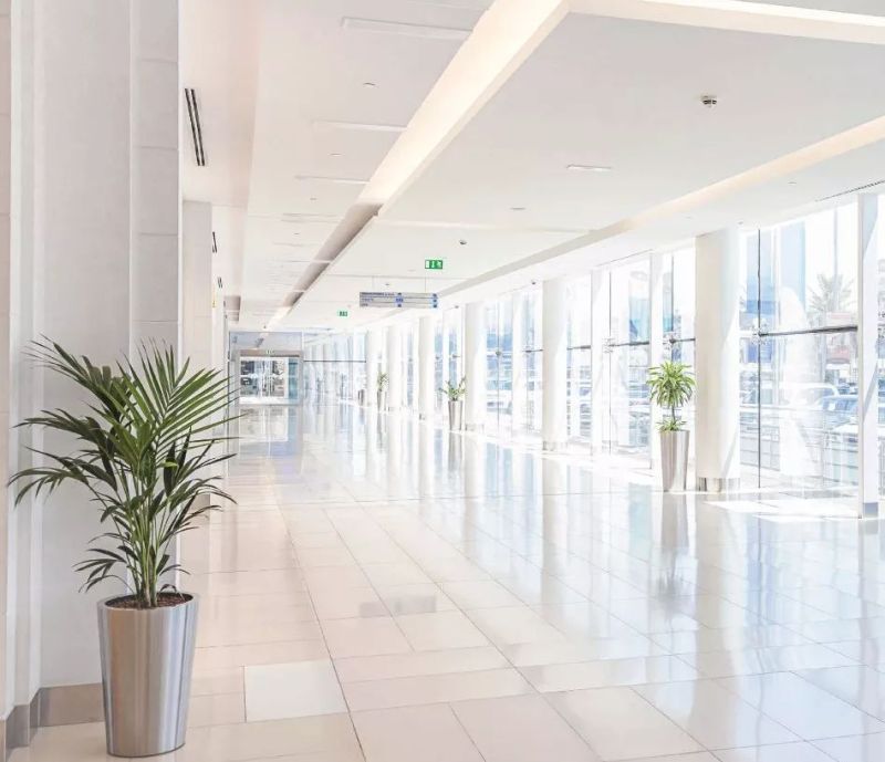 “光”来告诉你，如何提高工作效率？