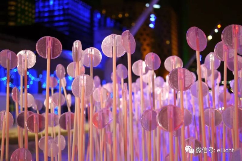 在设计之城蒙特利尔，收割发光的麦田 | 与光共舞