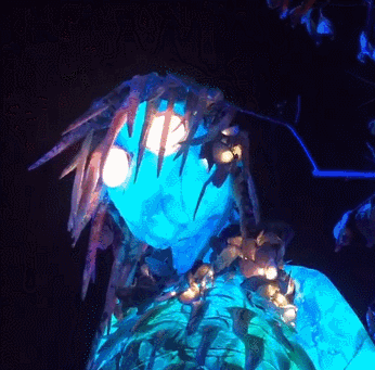 非一般的梦境！2019悉尼灯光节首秀来了