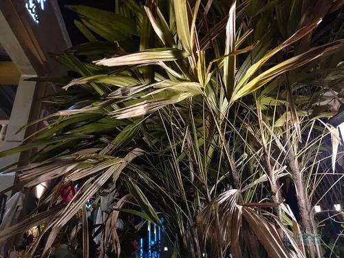 6.5英寸AMOLED全景屏！千元机OPPO K3首发