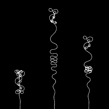 光的藤蔓在墙上疯长的样子，像极了爱情