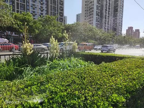 6.5英寸AMOLED全景屏！千元机OPPO K3首发