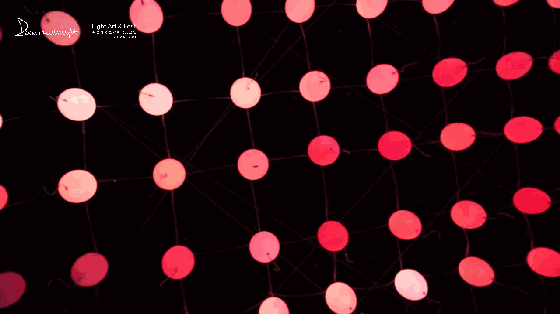 在设计之城蒙特利尔，收割发光的麦田 | 与光共舞