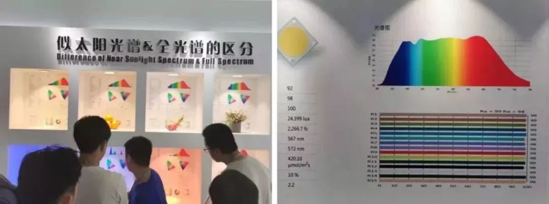 不吹不黑，你给这届光亚展打几分？
