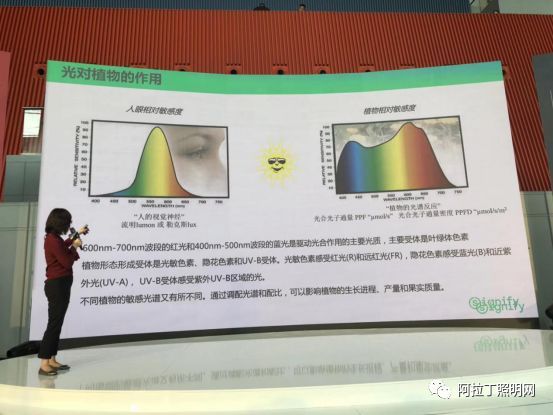 从刷爆朋友圈看今年光亚展都有哪些趋势？