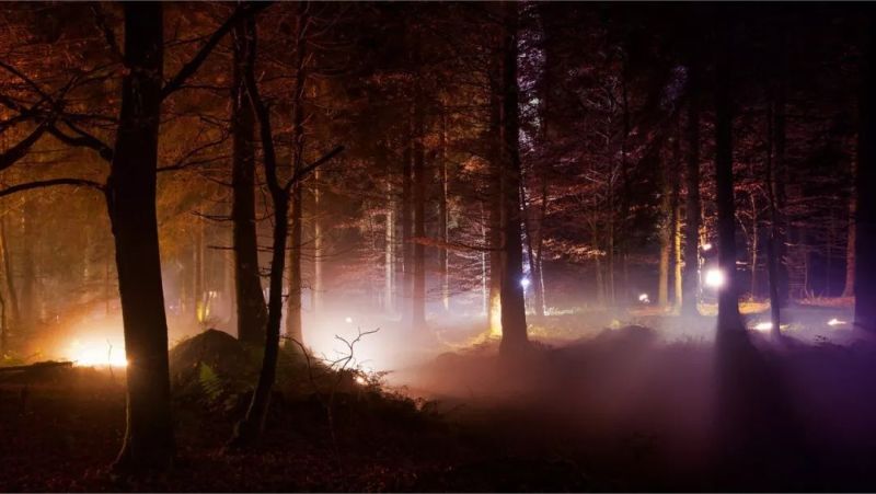 与光共舞｜魔法森林，雨落成光交响曲