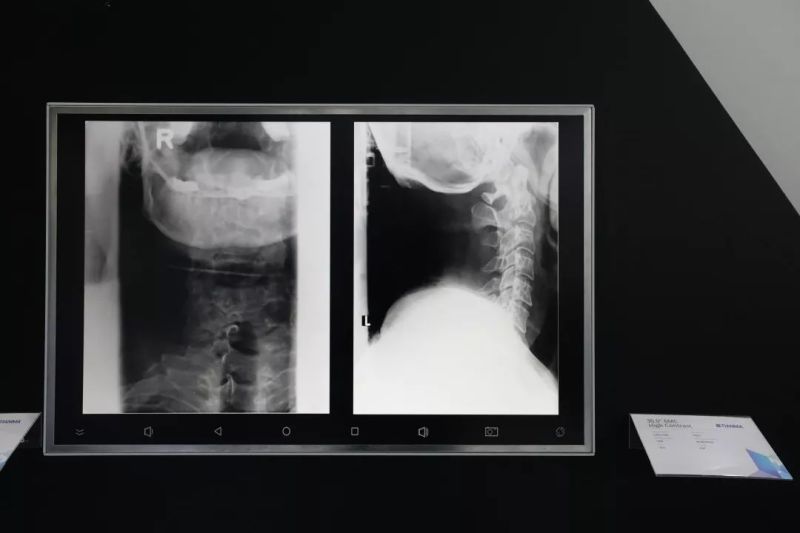 CITE2019：京东方、华星、天马、和辉、LGD、JDI展出的黑科技