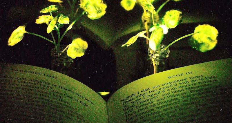 LED照明“过时”了，科学家有了更大胆的想法