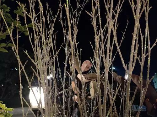 6.5英寸AMOLED全景屏！千元机OPPO K3首发