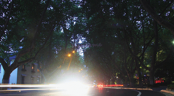 八卦田亮灯的忧思