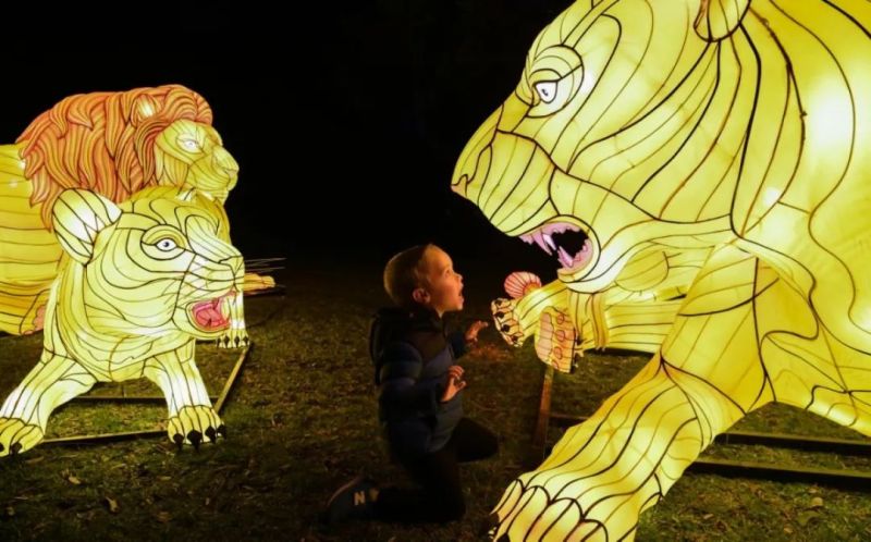 非一般的梦境！2019悉尼灯光节首秀来了