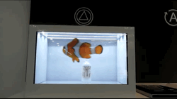 延锋与京东方签署战略合作协议，推动OLED车载显示