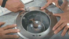 不吹不黑，你给这届光亚展打几分？