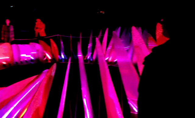 非一般的梦境！2019悉尼灯光节首秀来了