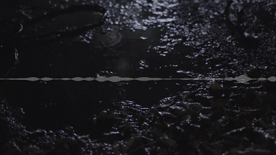 与光共舞｜魔法森林，雨落成光交响曲