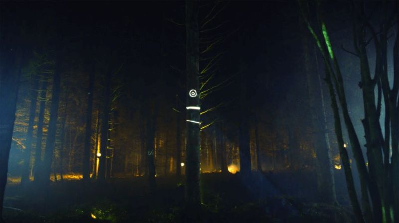 与光共舞｜魔法森林，雨落成光交响曲