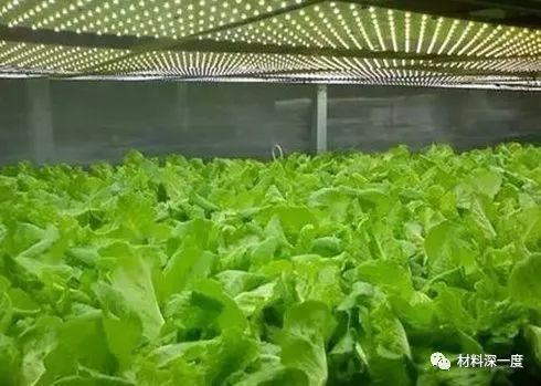 LED植物照明产业的发展现状与趋势