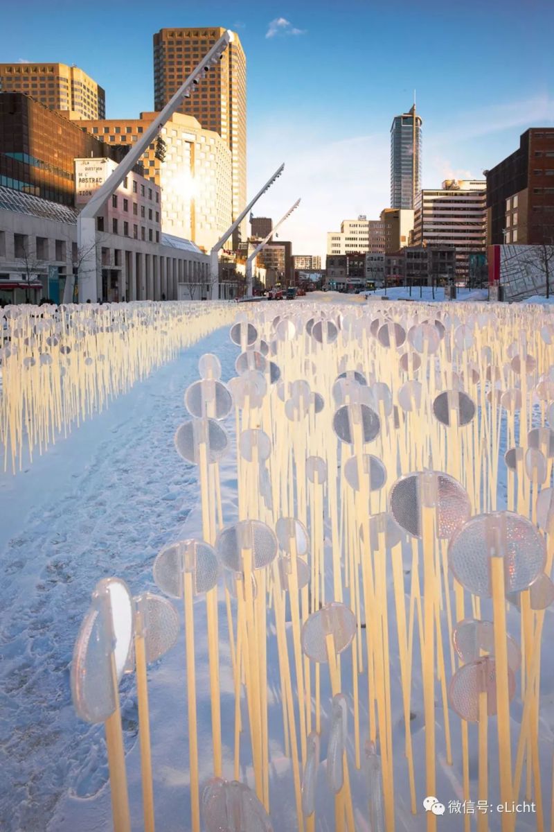在设计之城蒙特利尔，收割发光的麦田 | 与光共舞