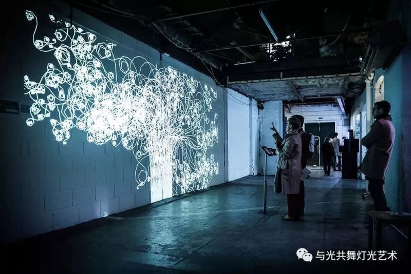 光的藤蔓在墙上疯长的样子，像极了爱情