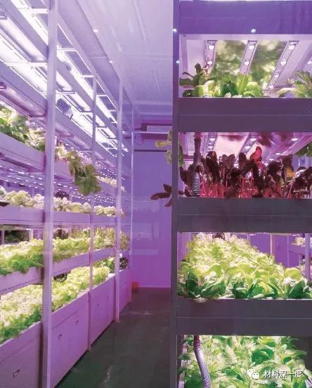 LED植物照明产业的发展现状与趋势