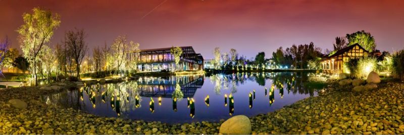 利亚德集团执行总裁代旭受邀参加“2019中国文化贸易发展论坛”