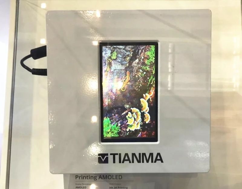 CITE2019：京东方、华星、天马、和辉、LGD、JDI展出的黑科技